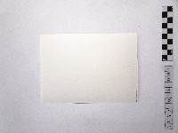 黃則修攝女藝人2藏品圖，第2張