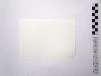 黃則修攝女藝人3藏品圖，第2張