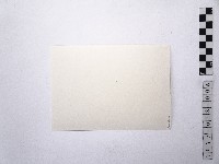 黃則修攝女藝人4藏品圖，第2張