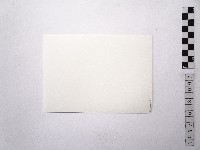 黃則修攝女藝人江霞藏品圖，第2張