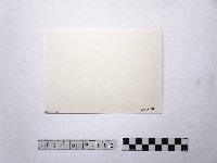 黃則修攝街景1藏品圖，第2張