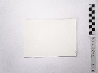 黃則修攝陽明山梅花池藏品圖，第2張