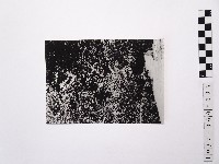 黃則修攝陽明山風景1藏品圖，第1張