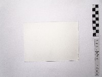 黃則修攝陽明山風景1藏品圖，第2張