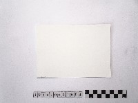 黃則修攝陽明山風景2藏品圖，第2張