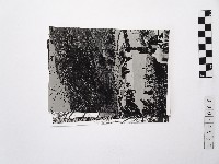 黃則修攝陽明山系列照片藏品圖，第1張