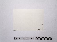 黃則修攝延平北路一段樓仔巷口1藏品圖，第2張