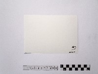 黃則修攝北門劉銘傳鐵路局的舊址1藏品圖，第2張