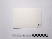 黃則修攝北門劉銘傳鐵路局的舊址2藏品圖，第2張