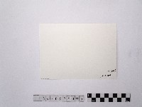 黃則修攝北門劉銘傳鐵路局的舊址5藏品圖，第2張