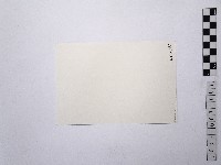 黃則修攝荷花池1藏品圖，第2張