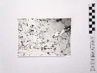 黃則修攝荷花池3藏品圖，第1張