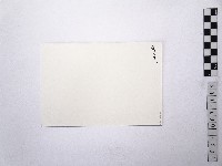 黃則修攝荷花池5藏品圖，第2張