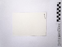 黃則修攝荷花池6藏品圖，第2張