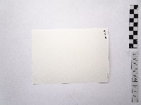 黃則修攝荷花池7藏品圖，第2張