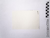 黃則修攝荷花池8藏品圖，第2張