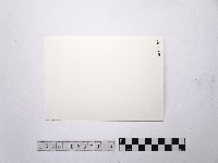 黃則修攝荷花池14藏品圖，第2張