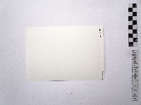 黃則修攝東方大樓藏品圖，第2張