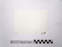 黃則修攝歐式建築物藏品圖，第2張