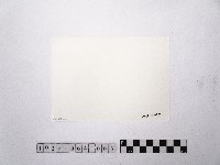 黃則修攝圓環1藏品圖，第2張