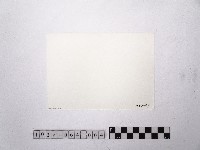 黃則修攝圓環2藏品圖，第2張