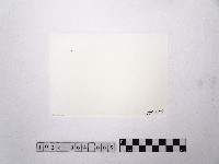 黃則修攝圓環3藏品圖，第2張