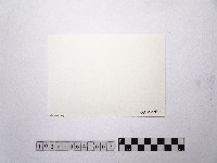 黃則修攝街口大樓2藏品圖，第2張