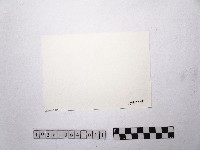 黃則修攝停車場藏品圖，第2張