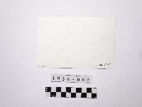 黃則修攝高氏大宗祖祠藏品圖，第2張