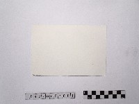 蔣中正總統巡視中美聯合「藍星」陸海空軍事大演習藏品圖，第2張