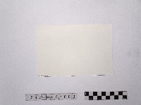 黃則修與屠牛氏飛彈合照1藏品圖，第2張