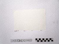 黃則修與屠牛氏飛彈合照2藏品圖，第2張