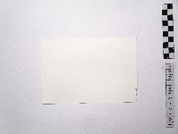 黃則修與屠牛氏飛彈合照3藏品圖，第2張