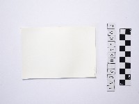 黃則修攝一名撐傘的少女1藏品圖，第2張