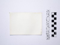 黃則修攝戲水群眾1藏品圖，第2張