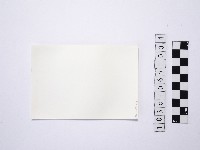 黃則修攝一名撐傘女性的背影1藏品圖，第2張