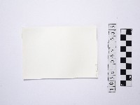 黃則修攝站立於岩石上的人1藏品圖，第2張