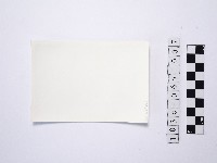 黃則修攝站立於岩石上的人2藏品圖，第2張