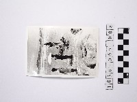 黃則修攝四名站在淺灘的女性1藏品圖，第1張