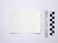 黃則修攝四名站在淺灘的女性1藏品圖，第2張