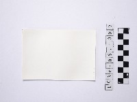 黃則修攝一名撐傘的少女2藏品圖，第2張