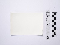 黃則修攝一名撐傘女性的背影2藏品圖，第2張