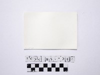 黃則修攝六名站在淺灘的女性藏品圖，第2張