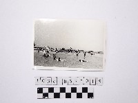 黃則修攝戲水群眾3藏品圖，第1張