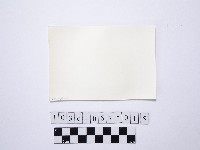 黃則修攝戲水群眾3藏品圖，第2張