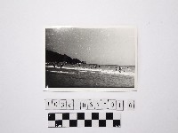 黃則修攝戲水群眾4藏品圖，第1張