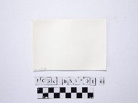 黃則修攝戲水群眾4藏品圖，第2張