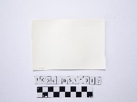 黃則修攝戲水群眾5藏品圖，第2張