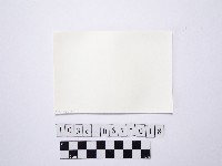 黃則修攝戲水群眾6藏品圖，第2張