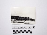 黃則修攝戲水群眾7藏品圖，第1張